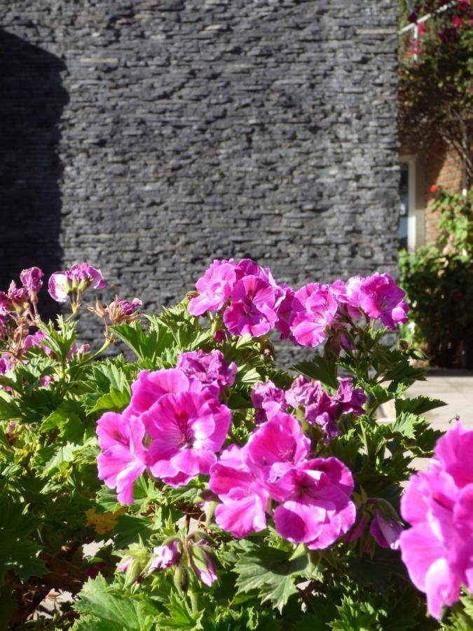 Santo Refugio Heritage Hotel San Pedro Cholula Luaran gambar